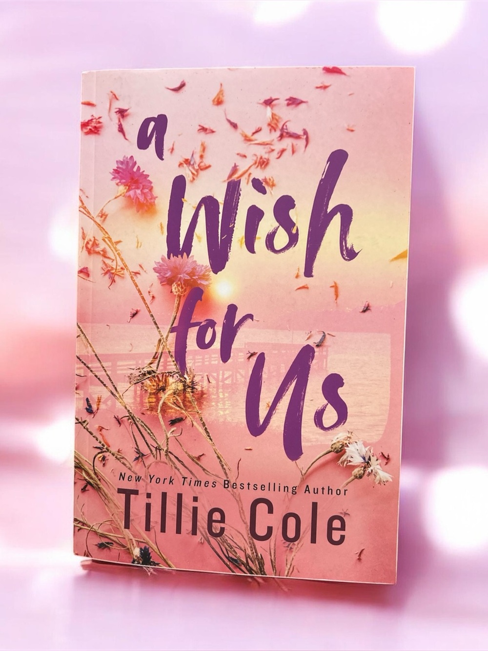 Young Adult Fiction-A Wish for Us